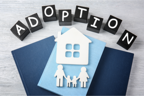 Adoption Referrals